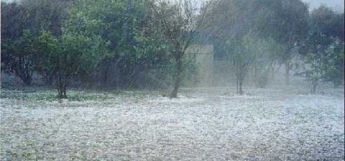 Oλοκληρωτική η καταστροφή των καλλιεργήσιμων εκτάσεων του Ν. Πηλίου Oλοκληρωτική η καταστροφή των καλλιεργήσιμων εκτάσεων του Ν. Πηλίου