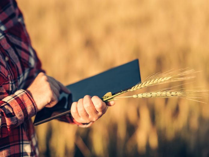 tech-farm-people