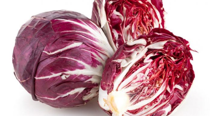 Radicchio