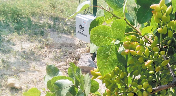 oi-nees-technologies-anoigoun-dromous-sto-kelyfoto-fistiki-aiginis-163020