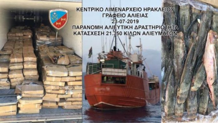«Λαβράκι» για το Λιμενικό: 21,3 τόνοι αλιεύματα από χελιδονόψαρα μέχρι... λούτσους «Λαβράκι» για το Λιμενικό: 21,3 τόνοι αλιεύματα από χελιδονόψαρα μέχρι... λούτσους