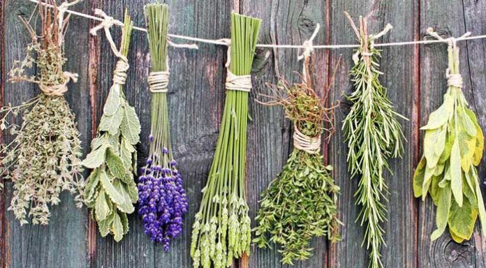 aromatika-fita