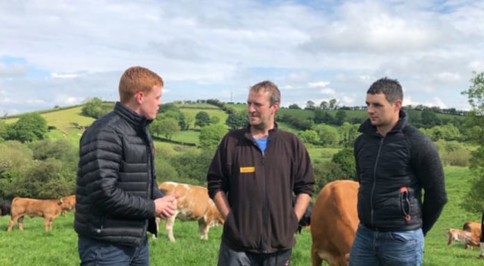 farm-advisory-ireland