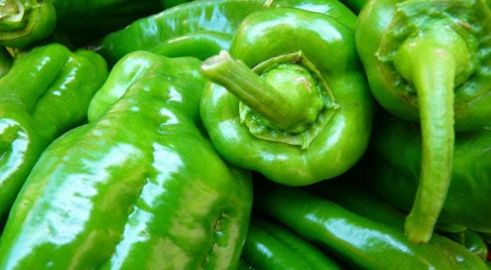 green-pepper
