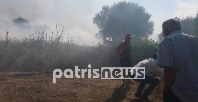 Πύργος: Μεγάλη πυρκαγιά μεταξύ Σκουροχωρίου – Σκαφιδιάς