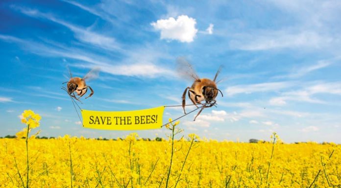 save-the-bees