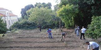 Από 2 έως 16 Σεπτεμβρίου οι αιτήσεις εγγραφής στην αγροτική ΕΠΑΣ της Κρήτης για θερμοκηπιακές καλλιέργειες