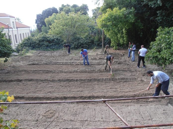 Από 2 έως 16 Σεπτεμβρίου οι αιτήσεις εγγραφής στην αγροτική ΕΠΑΣ της Κρήτης για θερμοκηπιακές καλλιέργειες Από 2 έως 16 Σεπτεμβρίου οι αιτήσεις εγγραφής στην αγροτική ΕΠΑΣ της Κρήτης για θερμοκηπιακές καλλιέργειες