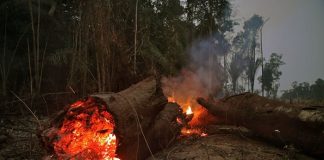 Αμαζόνιος: Οι βροχές δεν θα σβήσουν τις φωτιές προτού περάσουν αρκετές εβδομάδες