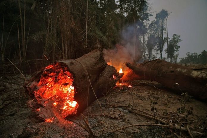 Αμαζόνιος: Οι βροχές δεν θα σβήσουν τις φωτιές προτού περάσουν αρκετές εβδομάδες