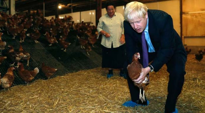 b-johnson-chicken