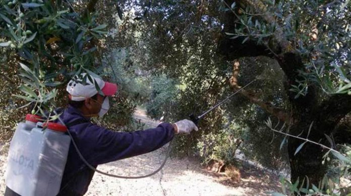 Δακοκτονία 2019 – 2ος Ψεκασμός στη Δημοτική Κοινότητα Χίου Δακοκτονία 2019 – 2ος Ψεκασμός στη Δημοτική Κοινότητα Χίου