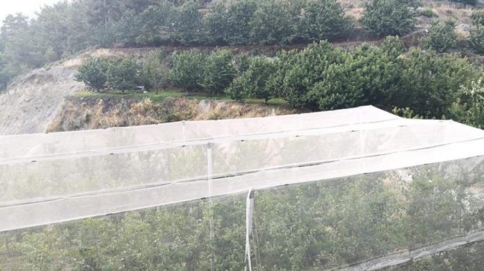 Έτσι θα αντιμετωπίσουν την κλιματική αλλαγή οι γεωργοί της Κύπρου Έτσι θα αντιμετωπίσουν την κλιματική αλλαγή οι γεωργοί της Κύπρου