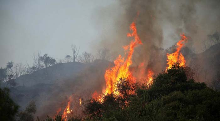se-etoimotita-gia-ekkenosi-dyo-choria-stin-evvoia-se-pliri-exelixi-i-pyrkagia-pou-kaiei-dasos-natura-167898