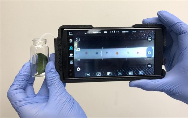 to-smartphone-ginetai-ergaleio-diagnosis-pathiseon-ton-fyton-166988