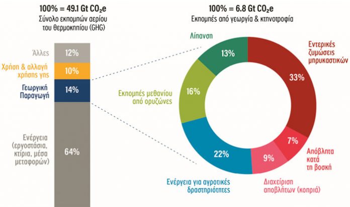 stas-startups