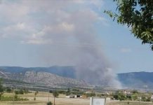 Αγροτοδασική πυρκαγιά στα Λεύκαρα Κοζάνης