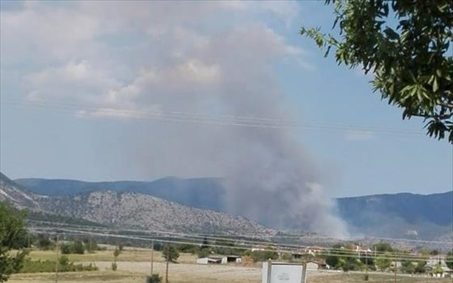 Αγροτοδασική πυρκαγιά στα Λεύκαρα Κοζάνης