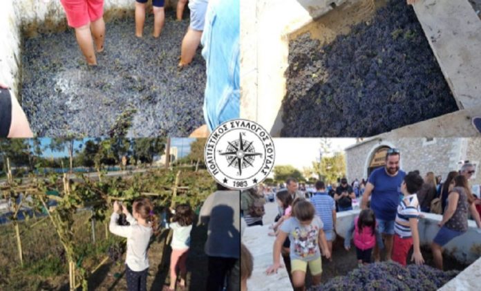 Αναβιώνουν για 9η χρονιά τα “Τρυγοπατήματα” στη Σούδα Χανίων Αναβιώνουν για 9η χρονιά τα “Τρυγοπατήματα” στη Σούδα Χανίων