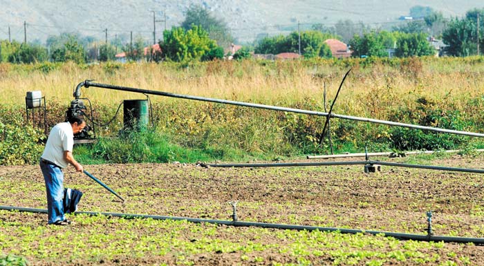 en-anamoni-tis-kya-gia-to-10-ton-apozimioseon-tou-elga-172296