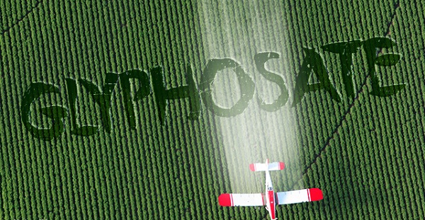 ipa-o-arithmos-ton-prosfygon-kata-tis-bayer-logo-glyfosatis-eftase-stis-42-700-170271