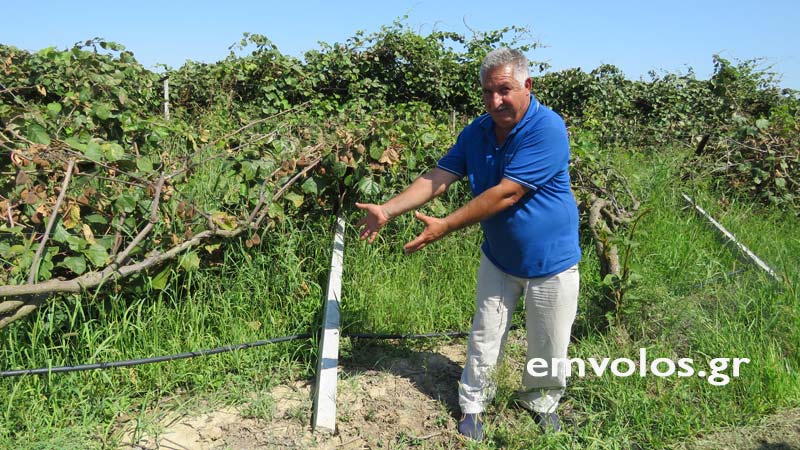 Ημαθία: «Επιτήδειοι» διέθεταν τσιμεντένιους πασσάλους στήριξης χωρίς σίδερα σε αγρότες