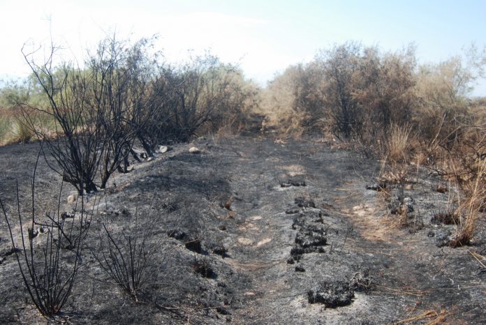 Καταστροφές από πυρκαγιά στην προστατευόμενη περιοχή Αλυκής Κίτρους