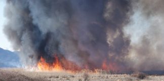Απαγόρευση καύσης γεωργικών υπολειμμάτων και ποινές για παραβάτες στον δήμο Δέλτα