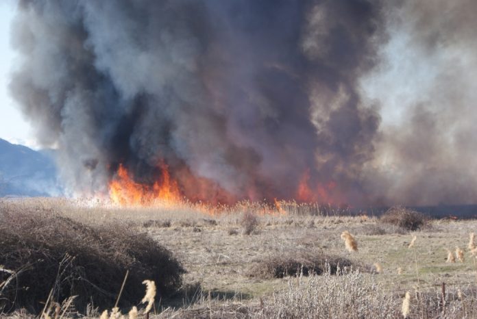 Απαγόρευση καύσης γεωργικών υπολειμμάτων και ποινές για παραβάτες στον δήμο Δέλτα