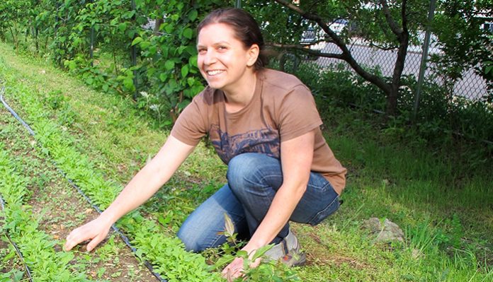 Φ. Αραμπατζή: H Ελληνίδα Αγρότισσα από αφανής ήρωας, πρωταγωνίστρια στην αγροτική επιχειρηματικότητα
