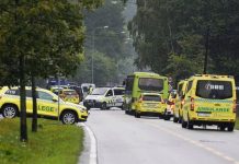 Ένοπλος στη Νορβηγία έκλεψε ασθενοφόρο και έπεσε μ' αυτό πάνω σε περαστικούς