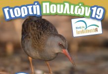 Γιορτή πουλιών στο Παρατηρητήριο Νέας Αγαθούπολης Πιερίας στις 6 Οκτωβρίου