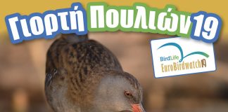 Γιορτή πουλιών στο Παρατηρητήριο Νέας Αγαθούπολης Πιερίας στις 6 Οκτωβρίου