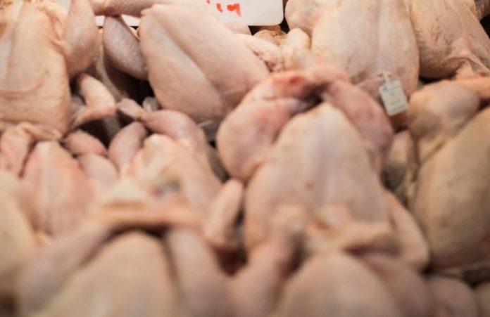 Κατάσχεση σε ληγμένα κοτόπουλα στον Πειραιά Κατάσχεση σε ληγμένα κοτόπουλα στον Πειραιά