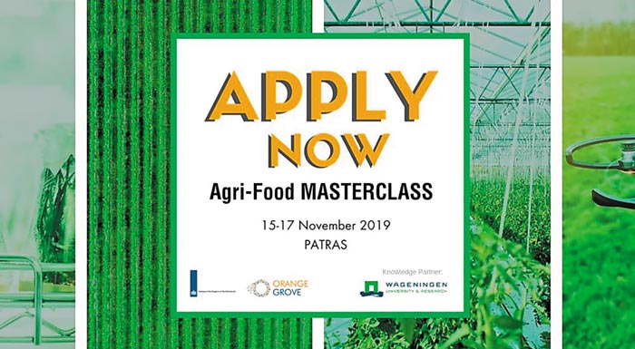 orange-grove-agro-epicheirimatikotita-stin-patra-apo-to-agri-food-masterclass-aitiseis-eos-tin-kyriaki-20-oktovriou-175163