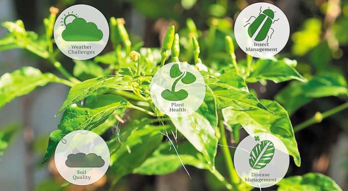 scio-smart-farming