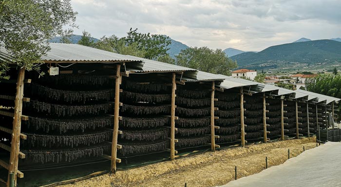 i-golden-black-vazei-xana-stin-mavri-korithniaki-stafida-ston-charti-ton-agoron-174471