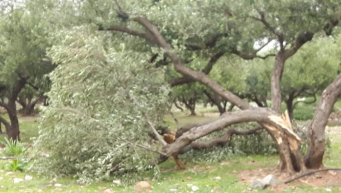 Δήμος Αποκορώνου: Υποβολή δηλώσεων για ζημιές σε καλλιέργειες έως τις 18/10 Δήμος Αποκορώνου: Υποβολή δηλώσεων για ζημιές σε καλλιέργειες έως τις 18/10