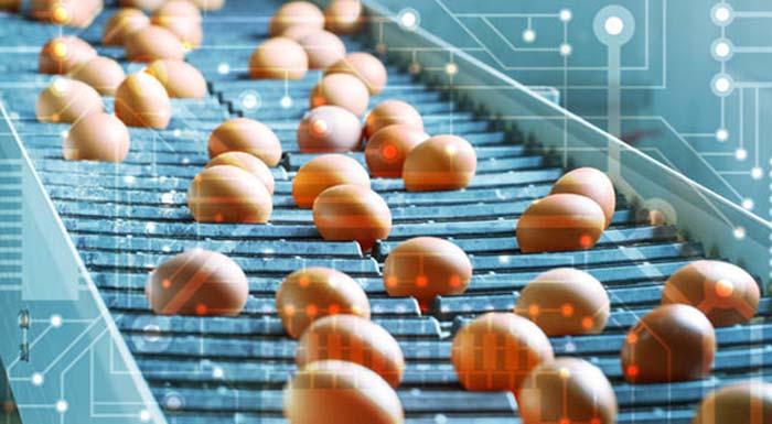 i-sikelia-vazei-se-efarmogi-tin-technologia-tou-blockchain-gia-tin-ichnilasimotita-ton-trofimon-177967