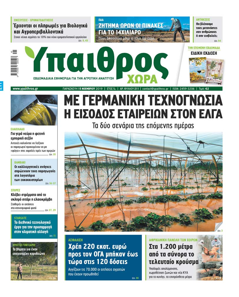 fyllo-211-paraskevi-15-noemvriou-2019-178572