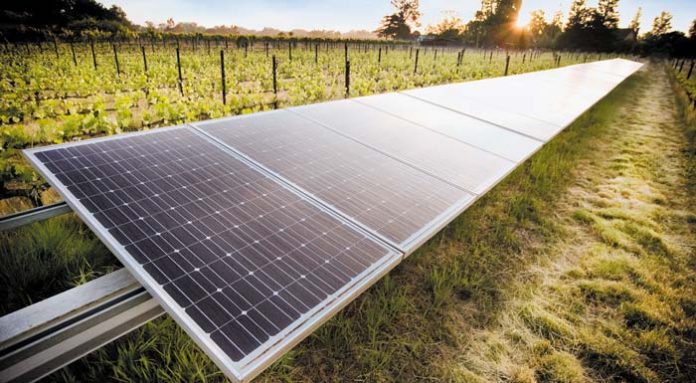 Solar-Panels-Lodi-Vineyard