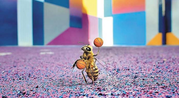 bee1