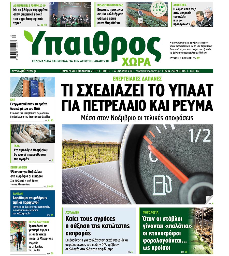 fyllo-210-paraskevi-8-noemvriou-2019-177736