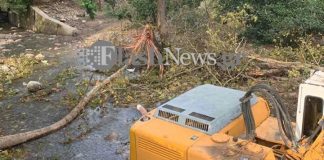 Δέντρο καταπλάκωσε και σκότωσε άνδρα στα Χανιά