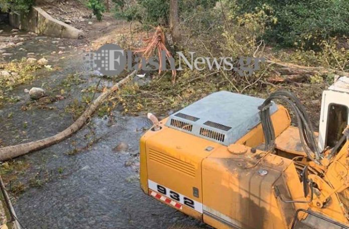 Δέντρο καταπλάκωσε και σκότωσε άνδρα στα Χανιά