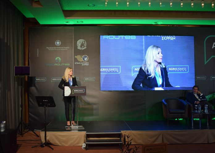 f-arampatzi-agribusiness-forum-paragogon-epidotiseis Φ. Αραμπατζή-Agribusiness Forum: Ασπίδα των παραγωγών μας οι επιδοτήσεις, ειδικά υπό τον κίνδυνο της πλήρους εξωτερικής σύγκλισης