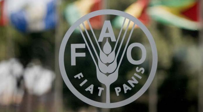 fao