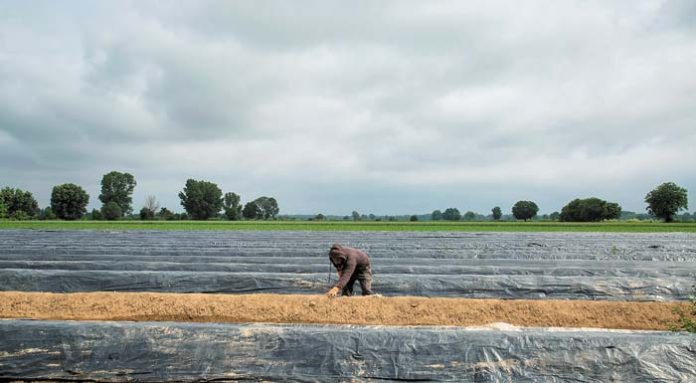 farmer-23