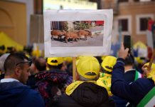 Ιταλία: Οι αγρότες διαμαρτύρονται για τα αγριογούρουνα
