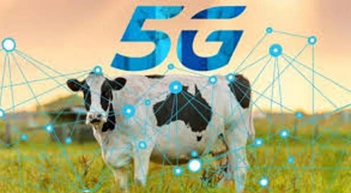 k4--5g
